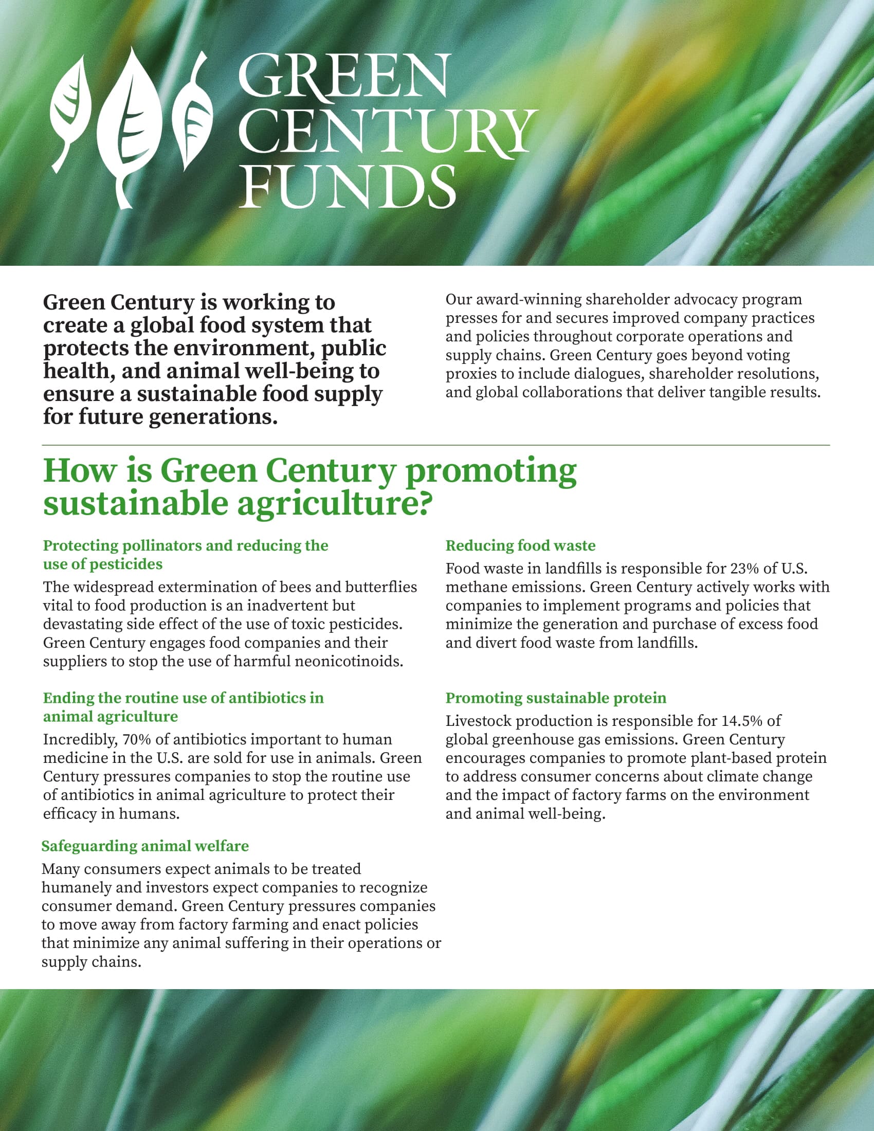 GC Sustainable Ag 2 Pager Aug 2018-1